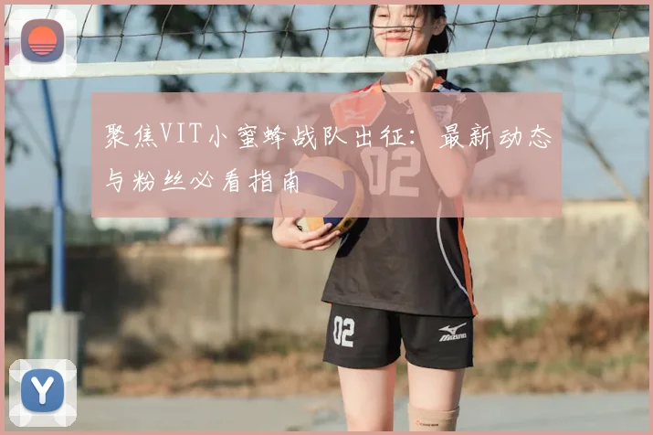 聚焦VIT小蜜蜂战队出征:最新动态与粉丝必看指南